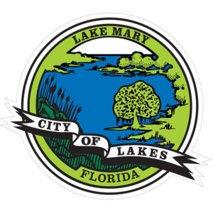 Vilece Technology Services: Professional IT Services in Lake Mary, Florida