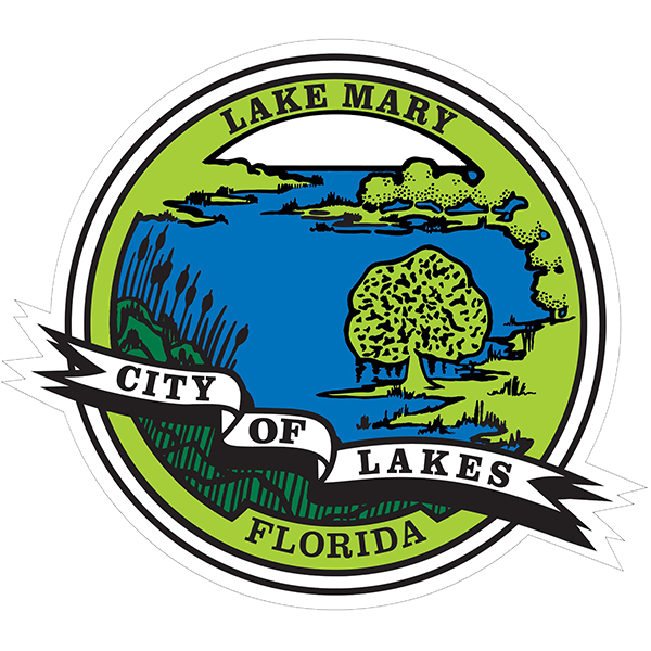 Vilece Technology Services: Professional IT Services in Lake Mary, Florida